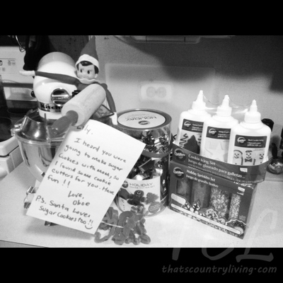 elf on the shelf w