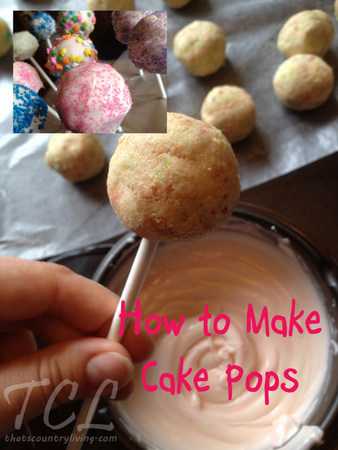 intelligentie mannelijk Baars How to Make Cake Pops - Silicone Mold Versus Rolling By Hand 