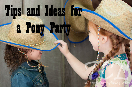 pony party title