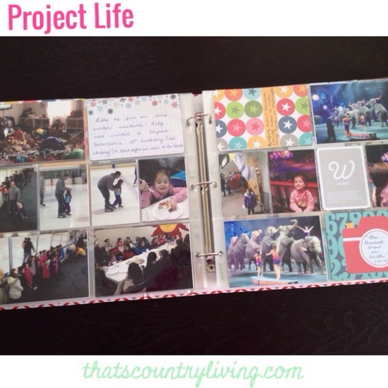 project life 1