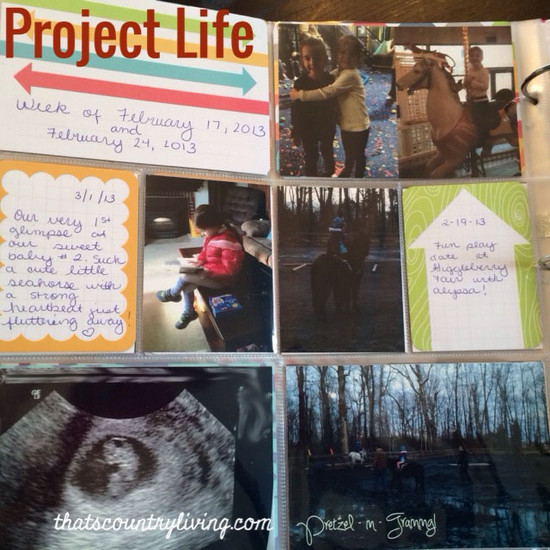 project life 1
