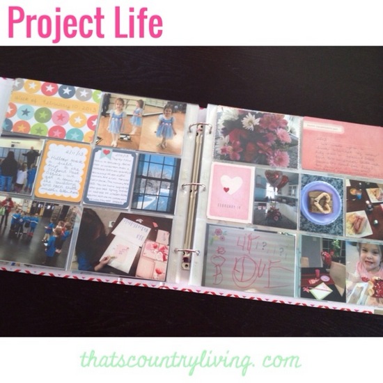 project life 2
