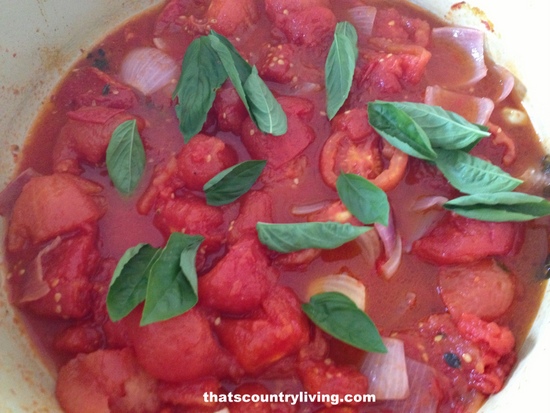roasted tomato soup 6
