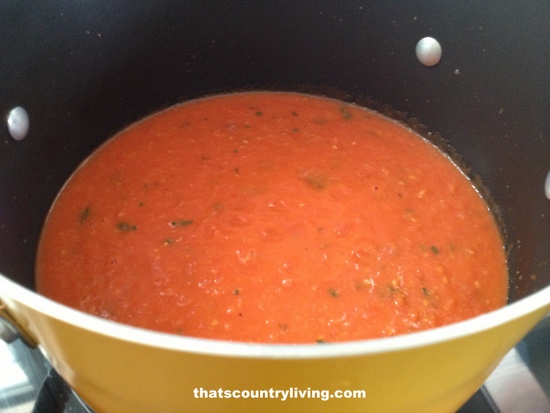 roasted tomato soup 9
