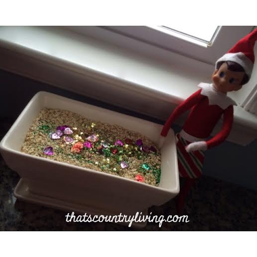 Elf on the Shelf Magic Christmas Garden l