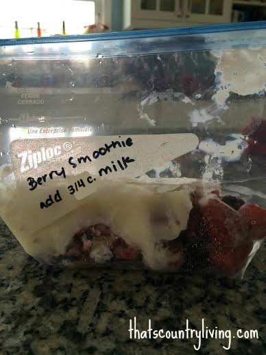 berry smoothie freezer kit